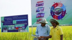 Green production zones set to elevate Vietnamese agriculture