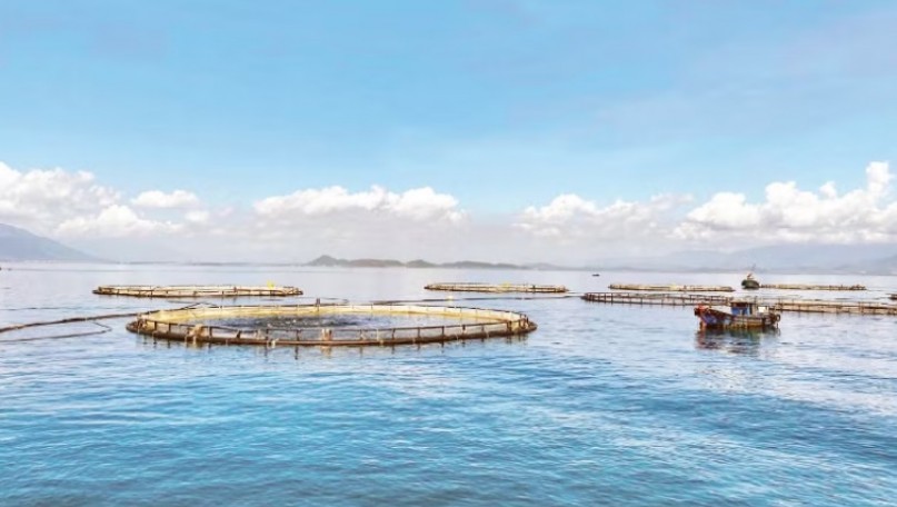 Viet Nam’s maritime economy charts a new growth horizon