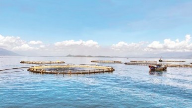 Viet Nam’s maritime economy charts a new growth horizon