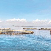 Viet Nam’s maritime economy charts a new growth horizon