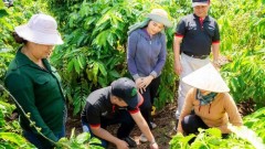 Digital agriculture paves the way for green growth towards Net Zero
