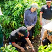 Digital agriculture paves the way for green growth towards Net Zero