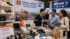 Paraguay: Strategic gateway for Vietnamese goods to enter Mercosur