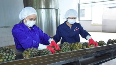 Maintaining Viet Nam’s foothold in the Middle Eastern agricultural market