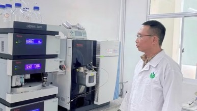 AI enhances agricultural quality assessment