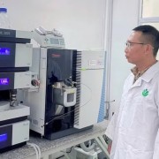 AI enhances agricultural quality assessment